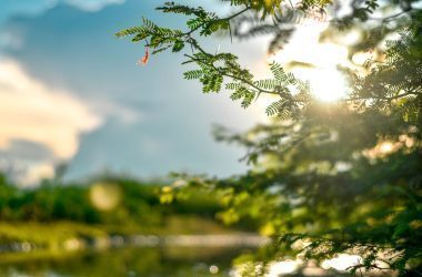 Ecoating ECO System
